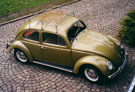 Oval Bug